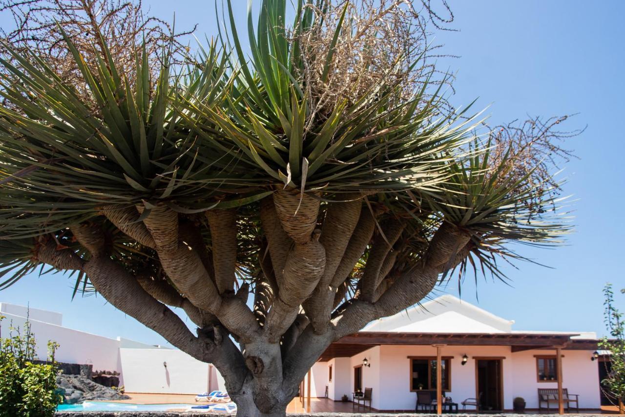 Casa Lola Lanzarote Piscina Climatizada Y Wifi Free Villa San Bartolome  Bagian luar foto
